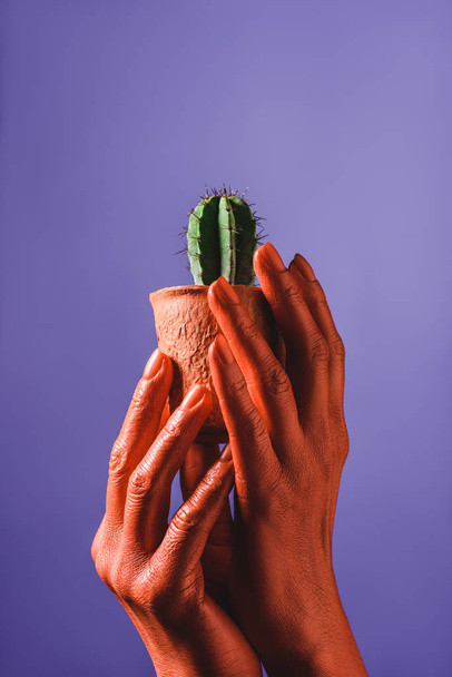 częściowy widok kobieta Koral kolorowe rękami trzymając Koral Doniczka z zielony Kaktus na fioletowe tło, kolor koncepcja 2019 - Zdjęcie, obraz
