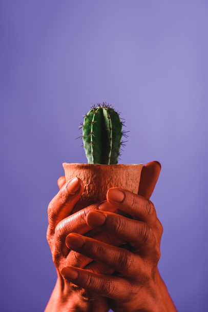 partial view of woman with coral colored hands holding coral flower pot with green cactus on violet background, color of 2019 concept - Photo, Image