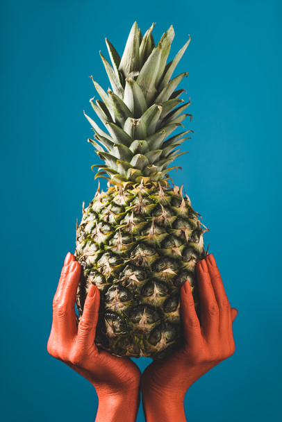 Teilansicht einer Frau mit reifen Ananasfrüchten in korallenfarbenen Händen auf blauem Hintergrund, Farbe des Konzepts 2019 - Foto, Bild