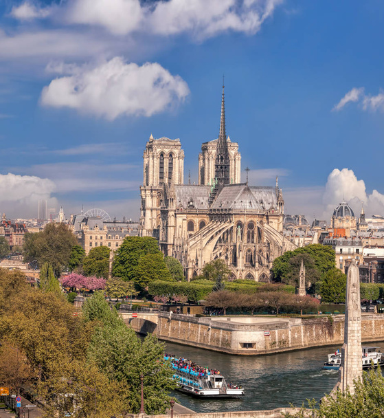 Paříž, katedrála Notre Dame s lodí na Seině ve Francii - Fotografie, Obrázek
