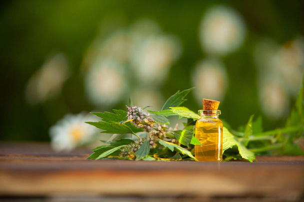 aceite esencial de hierba madre en una hermosa botella sobre la mesa
 - Foto, Imagen