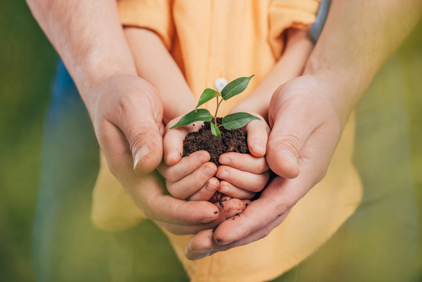 selective focus of man holding kid hands with young plant on blurred background, earth day concept - Photo, Image