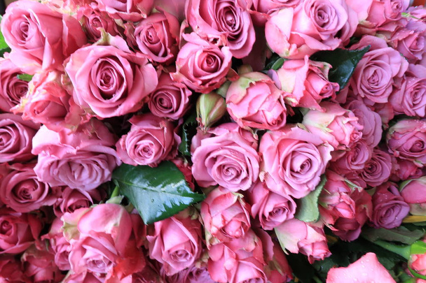 Hintergrund mit bunten Rosen brillant für besondere Tage - Foto, Bild