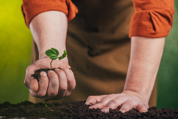 selective focus of man planting young green plant in ground on blurred background, earth day concept - Foto, Imagen