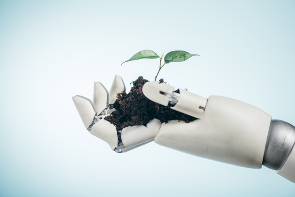 mano robótica con planta verde joven sobre fondo bicolor, concepto de día de la tierra
 - Foto, Imagen