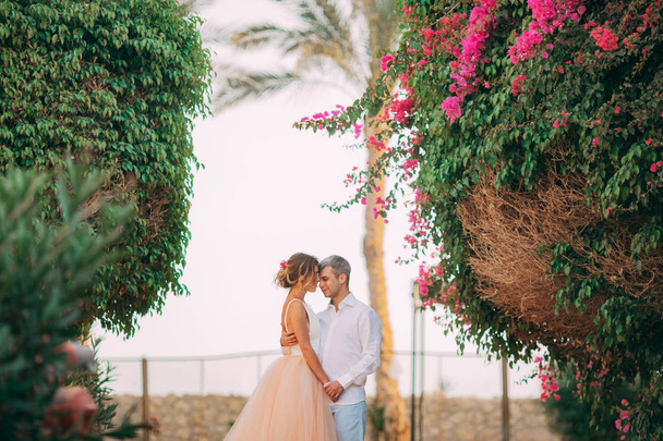 Recém-casados felizes ficar e abraçar no fundo de árvores florescentes e flores durante a lua de mel no Egito
. - Foto, Imagem