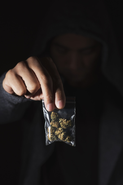 lähikuva nuoresta valkoihoisesta miehestä, jolla on muovipussi ja marihuana-nuppuja kädessään
 - Valokuva, kuva