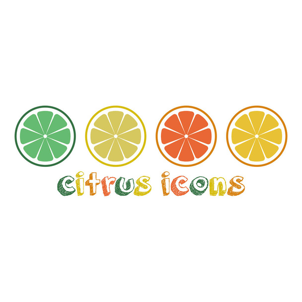 Zitrusscheiben aus Zitrone, Orange, Limette und Grapefruit. Vektorillustration - Vektor, Bild