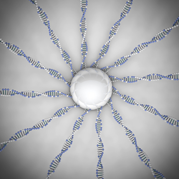Helices de ADN
 - Foto, Imagen