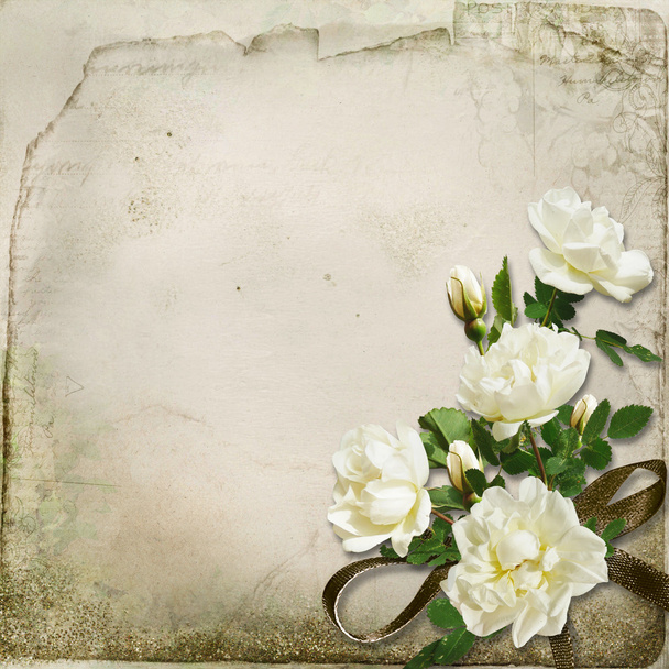 The branch of roses on a vintage background - Photo, image