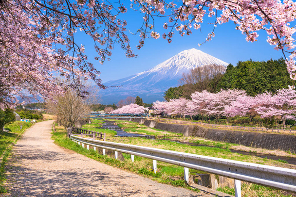Mt. Fuji, bahar mevsiminde kırsal Shizuoka Bölgesi 'nden izlendi. - Fotoğraf, Görsel