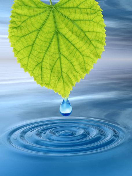 Koncepce nebo konceptuální čistá pramenitá voda nebo rosou přesuňte padající z zelený čerstvý list na 3d obrázku modrou průzračnou vodou dělat vlny - Fotografie, Obrázek