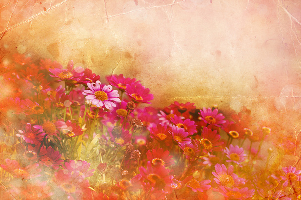 Beautiful spring background with little red and pink flowers - 写真・画像