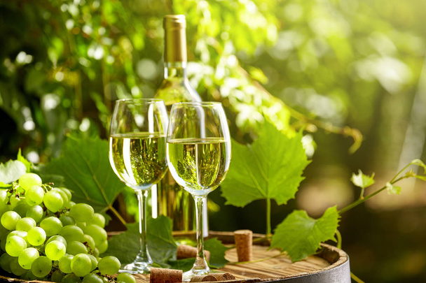 Grape and white wine on wooden barrel on garden terrace - Photo, Image