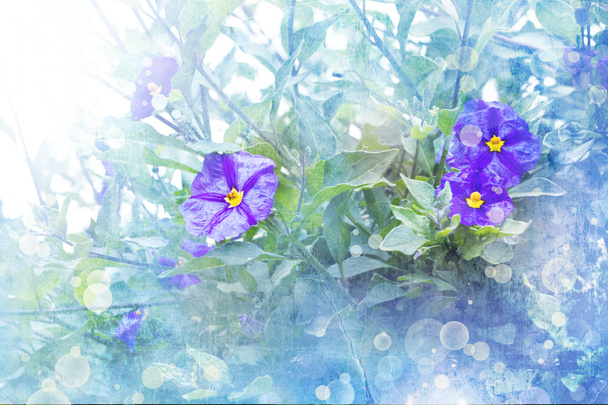 Tavaszi háttérrel, lila virágok - Fotó, kép