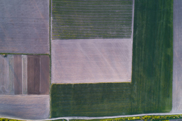 Aerial view of a field cut into different parts. Natural ornament - Fotografie, Obrázek
