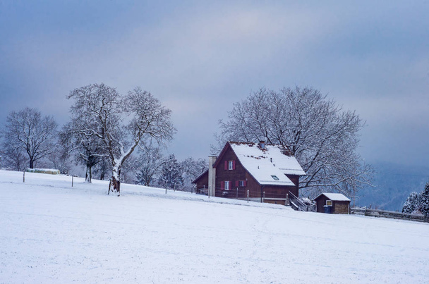 Winter snowy landscape with farm house  trees and cloudy sky - Zdjęcie, obraz