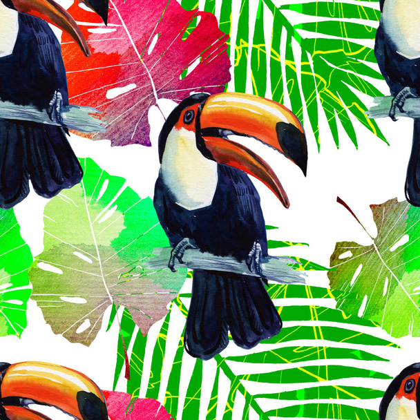 エキゾチックな鳥オオハシ。水彩でシームレスな背景。背景、テクスチャ、パターン、フレーム、枠線または入れ墨の野生の鳥鳥. - 写真・画像