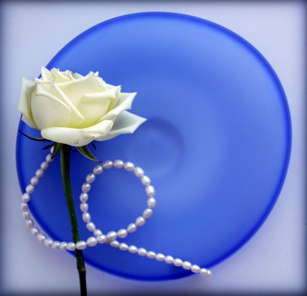 Rose on blue glass plate - 写真・画像