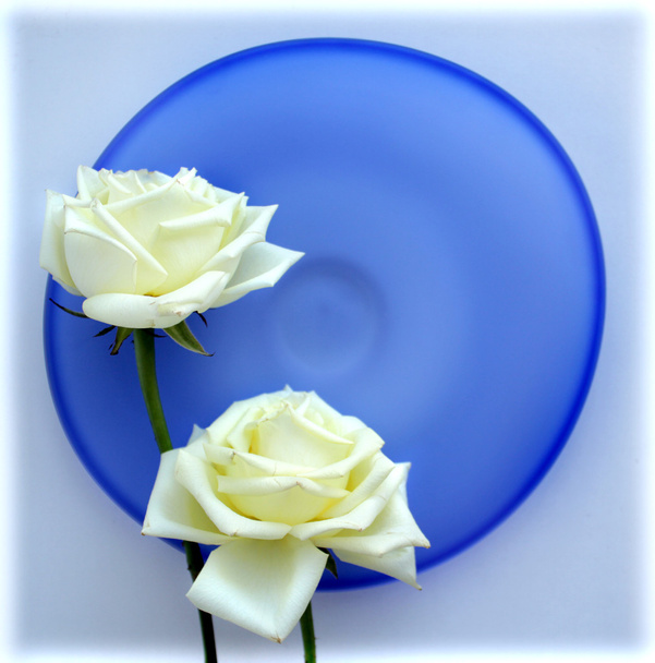 Two white roses on blue glass plate - Foto, Imagen