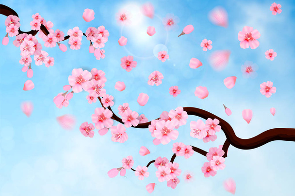 Pink cherry blossom with falling leaves on blue sky background. Spring composition with sakura. Vector illustration - Vector, Image
