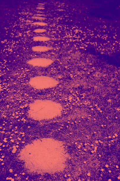 Kő sétány. A duplex hatást korall és lila fénykép koncepció alakformálás. Az évben, 2019 színe élő korall - Fotó, kép