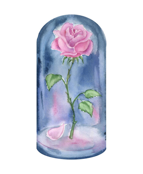 Rose in a flask of glass. Hand drawn watercolor illustration. - Zdjęcie, obraz