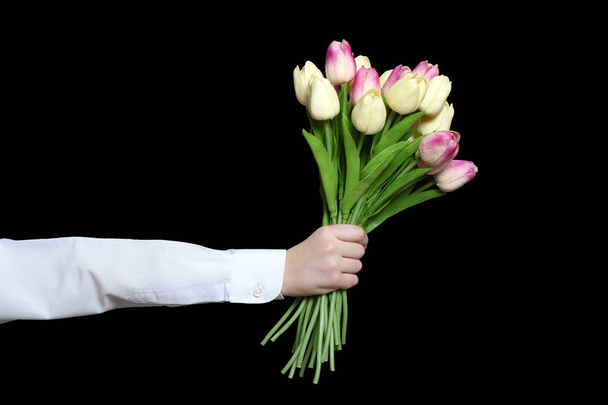 Hand in a white shirt sleeve holds a bouquet of tulips. Isolate on black background - Photo, Image