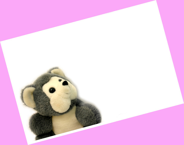 een zachte grijze teddybeer zitten in een roze frame - Foto, afbeelding