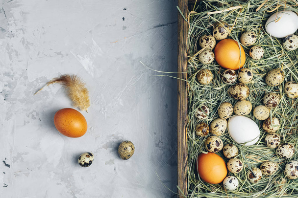 Quail and chicken eggs on the hay in wooden box, light gray concrete table surface. Dark rustic style. Top view. Happy Easter greeting card. - Photo, Image