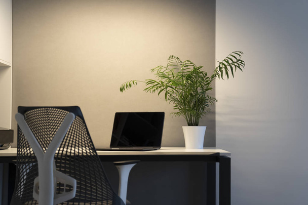Μοντέρνο άνετο χώρο εργασίας - γραφείο του υπολογιστή, ορθοπεδική καρέκλα με τεχνητό φως. Νέο σύγχρονο laptop με μαύρη οθόνη και πράσινο γλάστρα σε ένα τραπέζι γραφείου. Έννοια πράσινο χώρο εργασίας. - Φωτογραφία, εικόνα