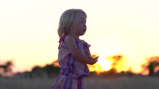 Crying little girl alone in the meadow. Child at sunset in the meadow. - Footage, Video