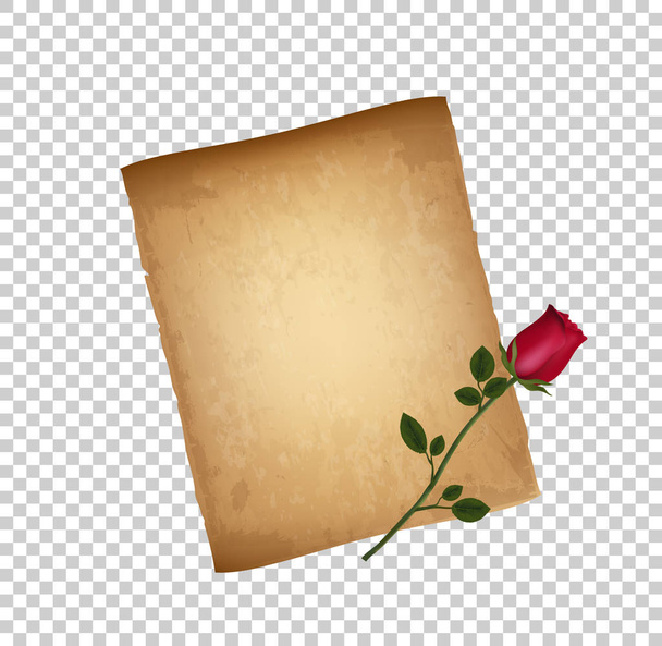 Retro Illustration of Worn Aged Parchment and Red Rose Flower Isolated on Transparent Background. Birthday Celebration Paper Texture. Valentines Day Card. Grunge Backdrop. Invitation. Realistic Vector - Vector, Image