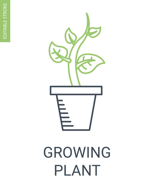 Иконка растущего растения
 - Вектор,изображение