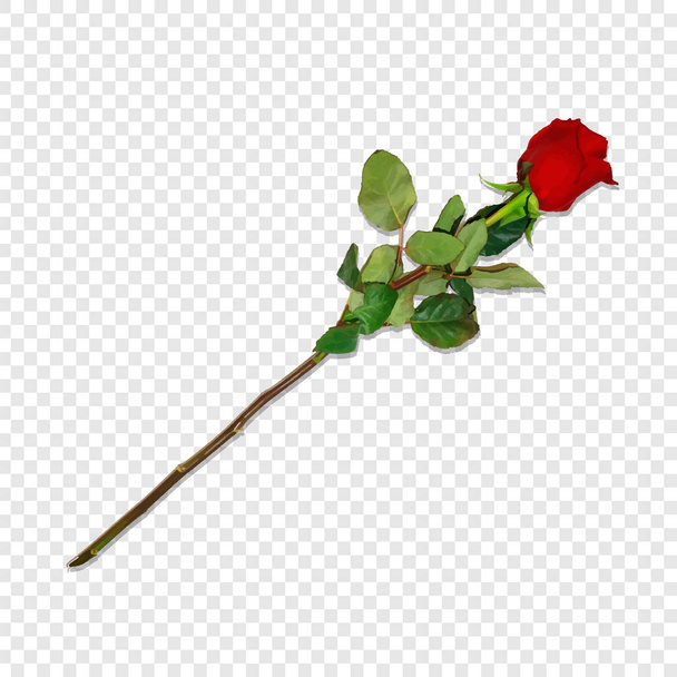 Photo Realistic, Highly Detailed Red Rose on Long Stem Isolated on Transparent Background. Beautiful Bud of Flower. Clip Art for Valentines, Love, Wedding Birthday Greeting Card. Vector Illustration - Vector, Image