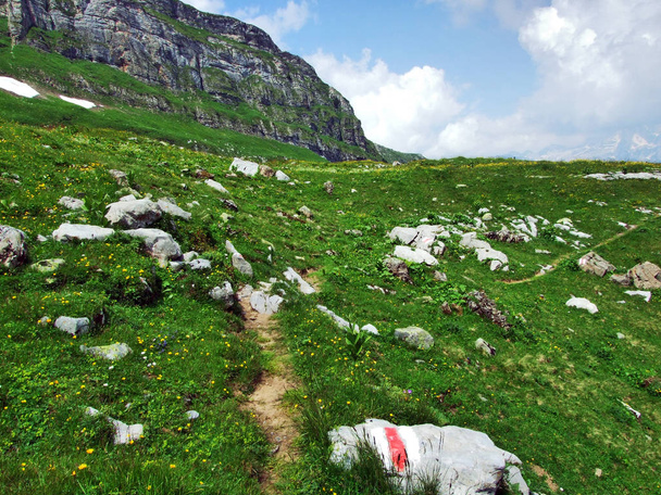 Αλπικά λιβάδια και τα λιβάδια στις πλαγιές της οροσειράς Churfirsten στο Toggenburg περιοχή - καντόνιο του St Gallen, Ελβετία - Φωτογραφία, εικόνα