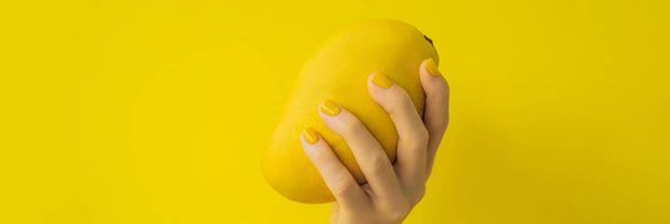 Hand with a yellow manicure holding a yellow ripe mango on a yellow background BANNER, LONG FORMAT - Foto, afbeelding