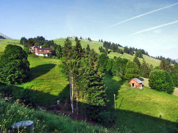 Альпійські тваринницькі ферми і стайні на схилах гірського хребта Churfirsten в Toggenburg області - кантону Санкт-Галлен, Швейцарія - Фото, зображення