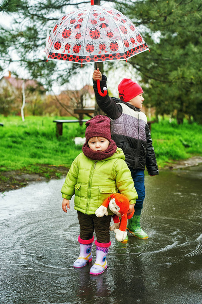 兄と雨の中歩く妹の肖像画。子供は傘で歩いてください。 - 写真・画像