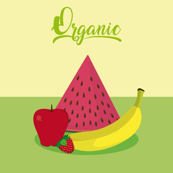 Sweet fruits cartoon vector illustration graphic design - Vector, Image