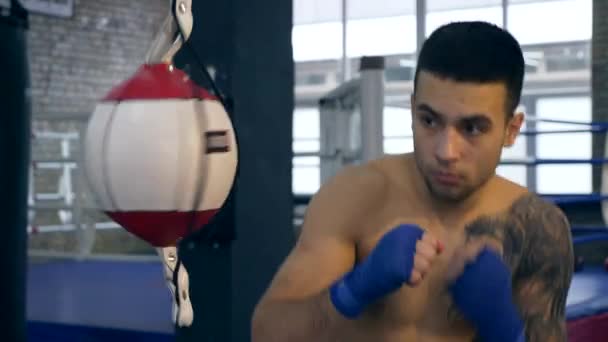 Slow motion Close-up Young Boxer Hits Double End Boxing Speed Ball, Punch Bag. Caucasian Man Training Workout At Gym  - Video