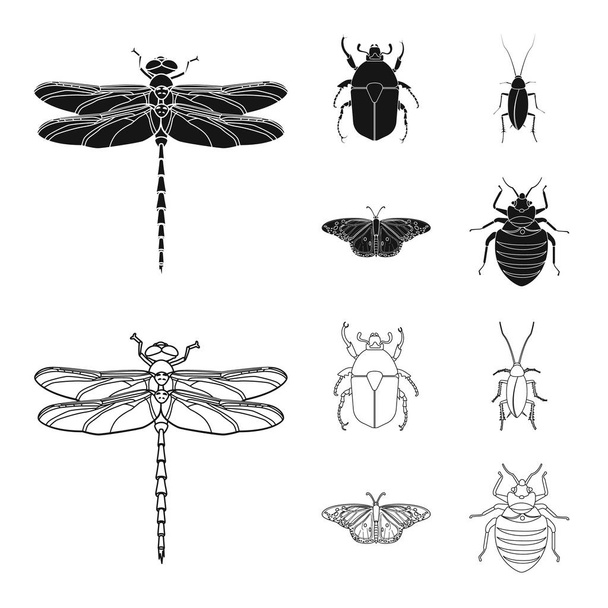 Vector illustration of insect and fly symbol. Set of insect and element vector icon for stock. - Vektor, kép