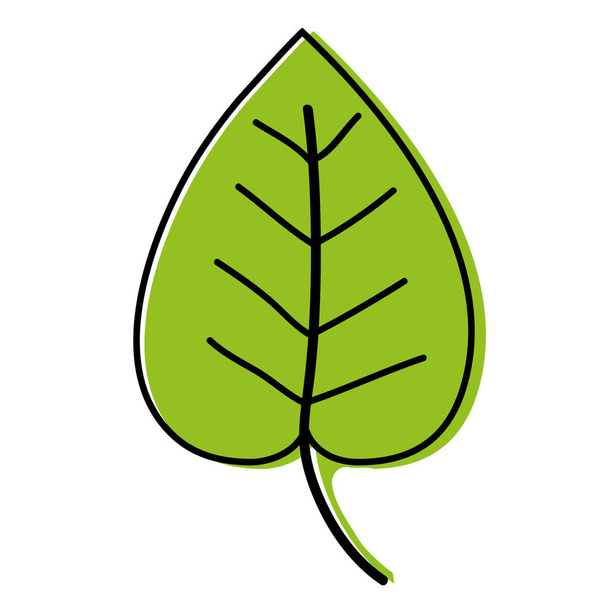 color tropical natural leaf plant design vector illustration - Vector, Imagen