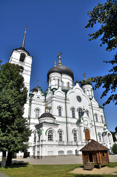 Annunciation Cathedral on Revolution Avenue in summer in Voronezh, Russia - Foto, afbeelding