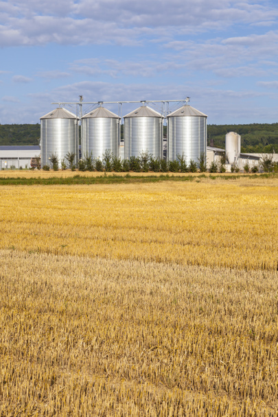cuatro silos de plata en el campo después de la cosecha bajo el cielo azul
 - Foto, Imagen