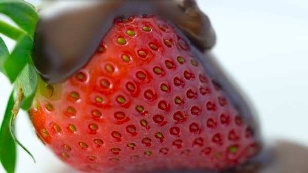 Makro-Nahaufnahme frischer Erdbeerfrüchte in Schokoladensauce. - Filmmaterial, Video