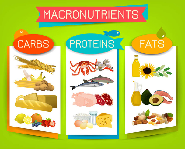 Основные продовольственные группы - макроэлементы. Углеводы, жиры и белки в сравнении. Диета, здравоохранение и эвтрофия. Векторная иллюстрация выделена на ярком фоне. Пейзажный плакат
. - Вектор,изображение