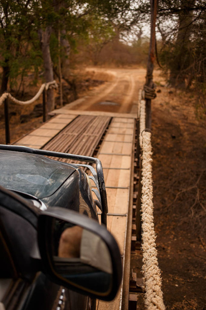 Jeep-szafari megy keresztül csuklós híd. Vadon élő állatok Safari. Baobab és bush dzsungel Szenegálban. Bandia Reserve. Meleg, száraz éghajlat. Az autó kívül a függőleges megtekintése. - Fotó, kép