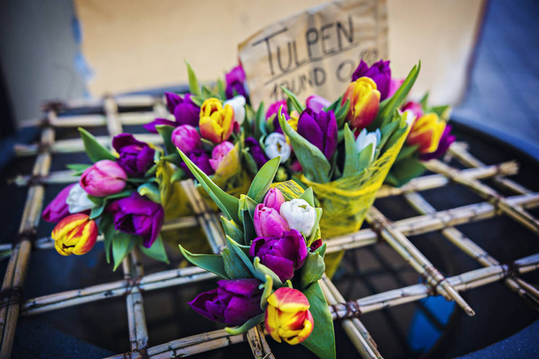 Tulipas coloridas para venda no mercado de flores na Alemanha. Bouquets de tulipa na loja de flores. TRADUÇÃO do alemão: Tulipas a 9.80 Euros preço
  - Foto, Imagem