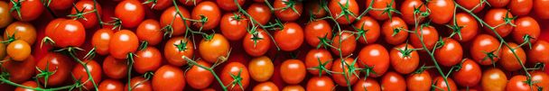 Plenty of cherry tomatoes in a box on a market - Foto, Imagem